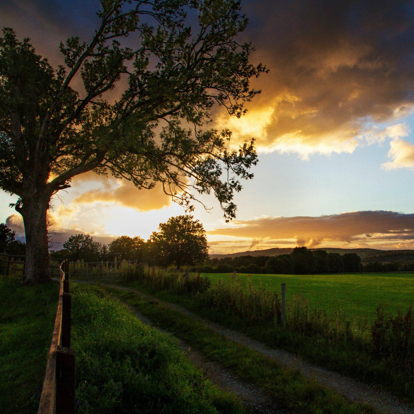The Irish Living Urn - Endswell
