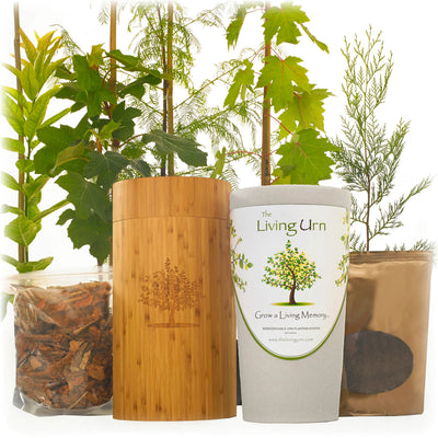 Living Urn System Only (use with your own tree, plant or flowers) - Perry