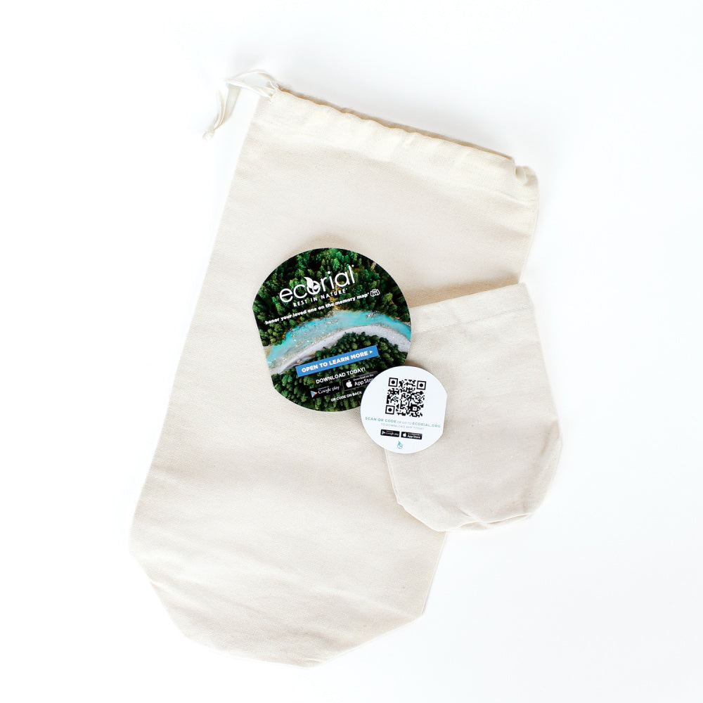 Peaceful Ocean Sunset Scattering - Be a Tree Cremation