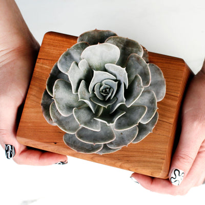 The Living Urn Planter - Colorado Burial Preserve
