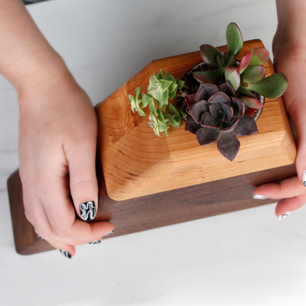 The Living Urn Planter™ - Be a Tree Cremation