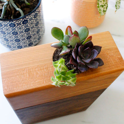 The Living Urn Planter Keepsake - Two Rivers