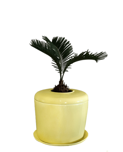 The Living Urn Indoors / Patio - Colorado Burial Preserve