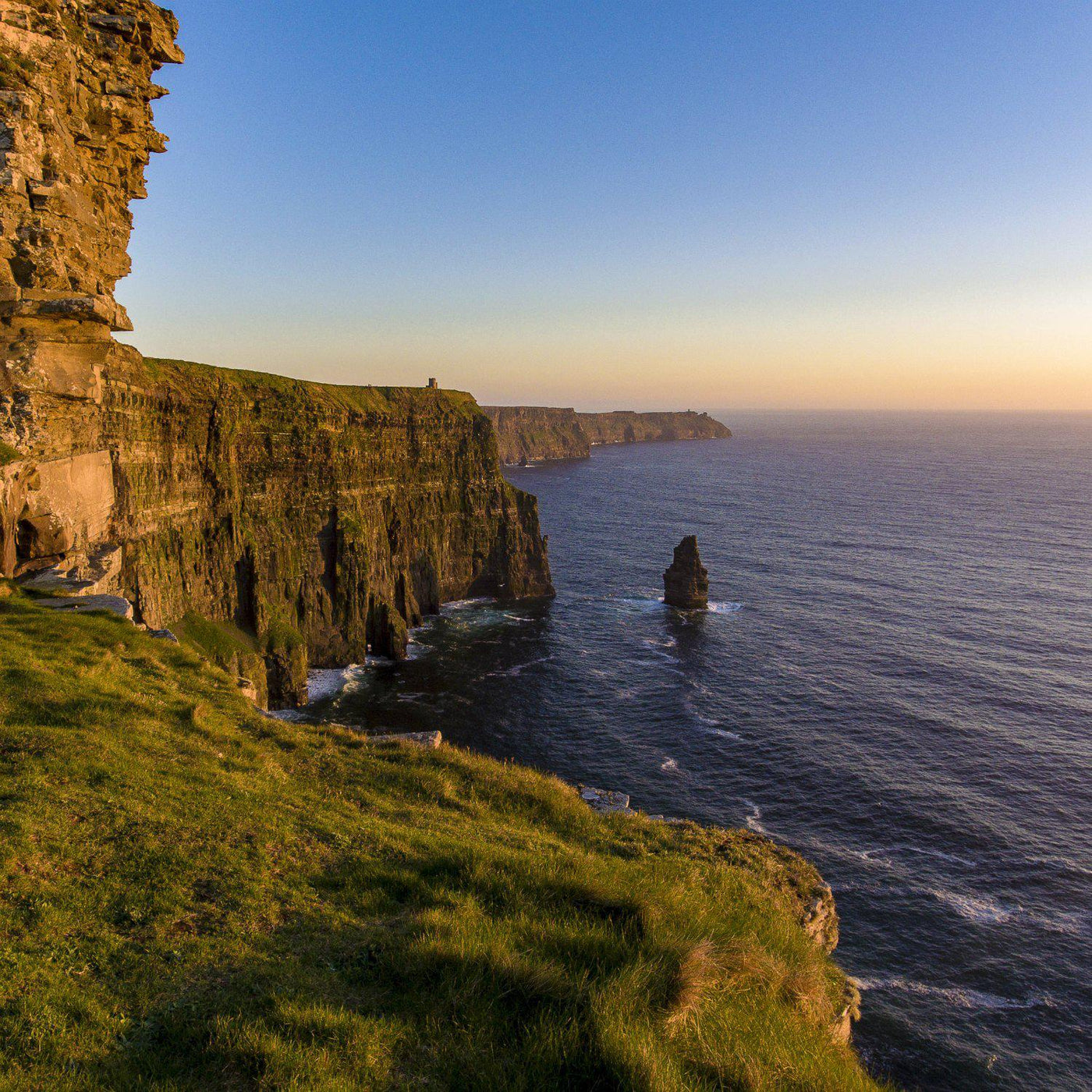 The Irish Living Urn - Cremation Society