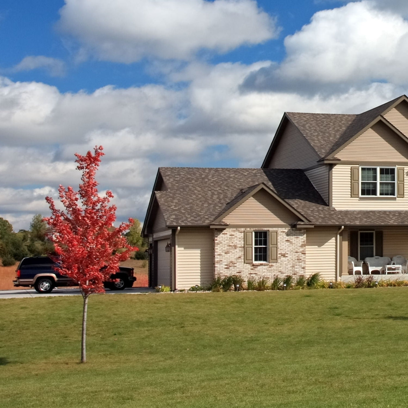 Red Maple - Natural Grace