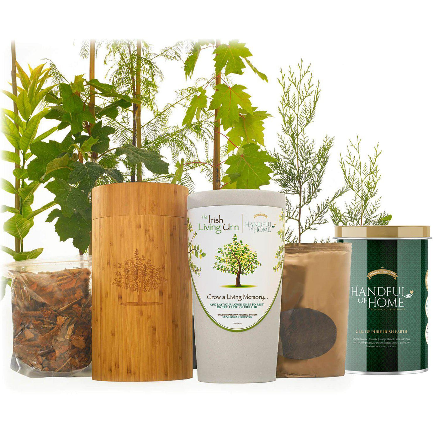 The Irish Living Urn - Natural Grace