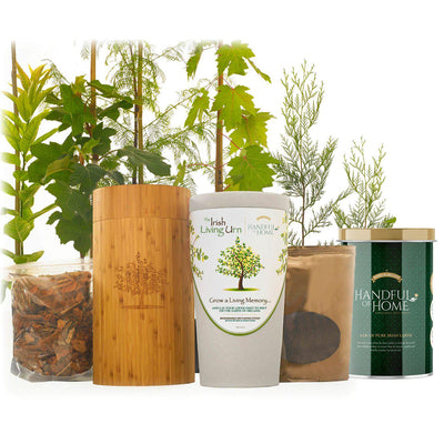 The Irish Living Urn - Cremation Society