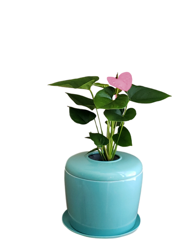 The Living Urn Indoors / Patio - Heaven Bound